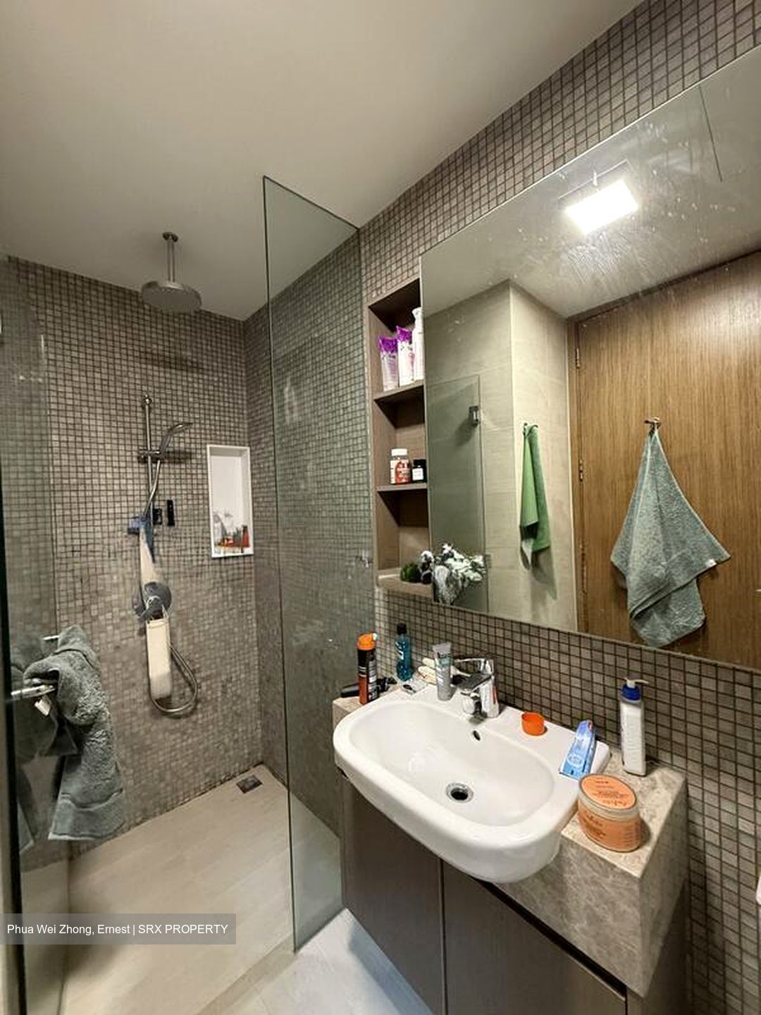 The Tembusu (D19), Condominium #566116291